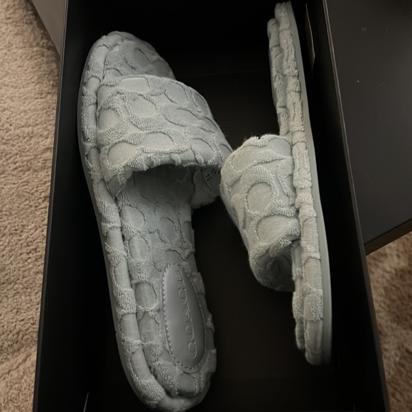 Coach - Bridgett Terry - Aqua Slides - Picture 3 of 3